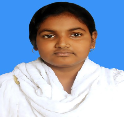 Sholla School & College