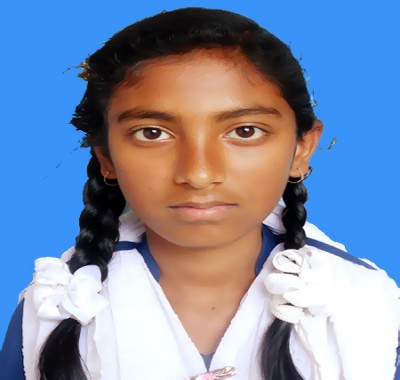 Sholla School & College