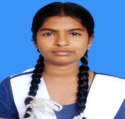 Sholla School & College